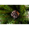 Триумф ель TRIUMPH TREE, Императрица с шишками, 60 см, заснеженная 73182